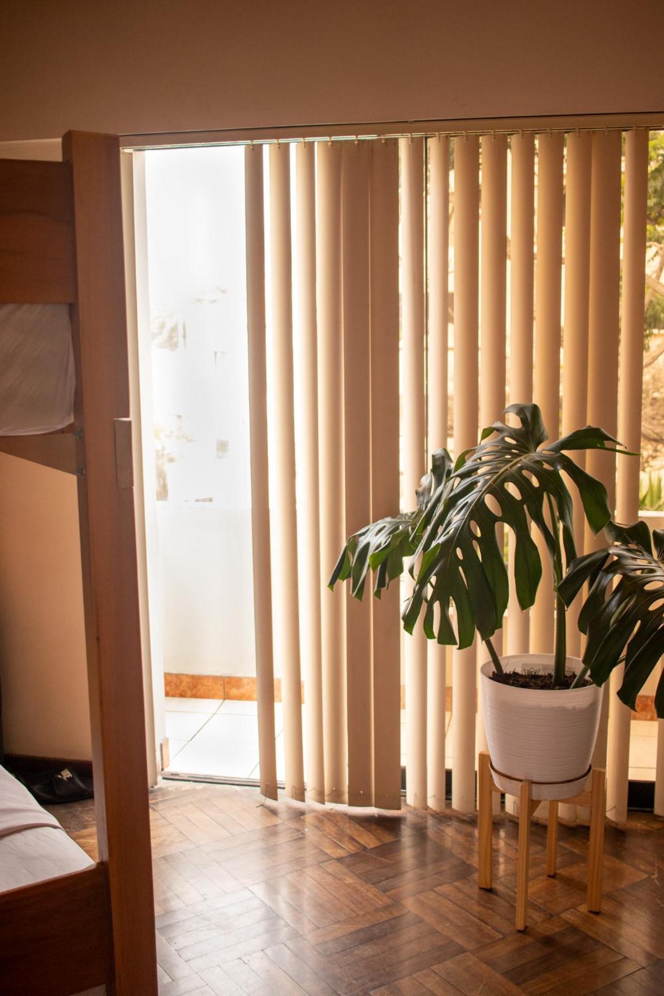 Temazcal Hostel Λίμα Εξωτερικό φωτογραφία