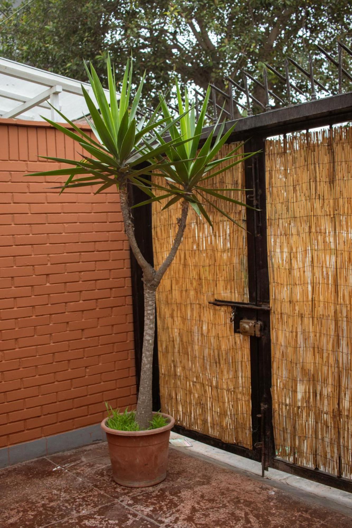 Temazcal Hostel Λίμα Εξωτερικό φωτογραφία
