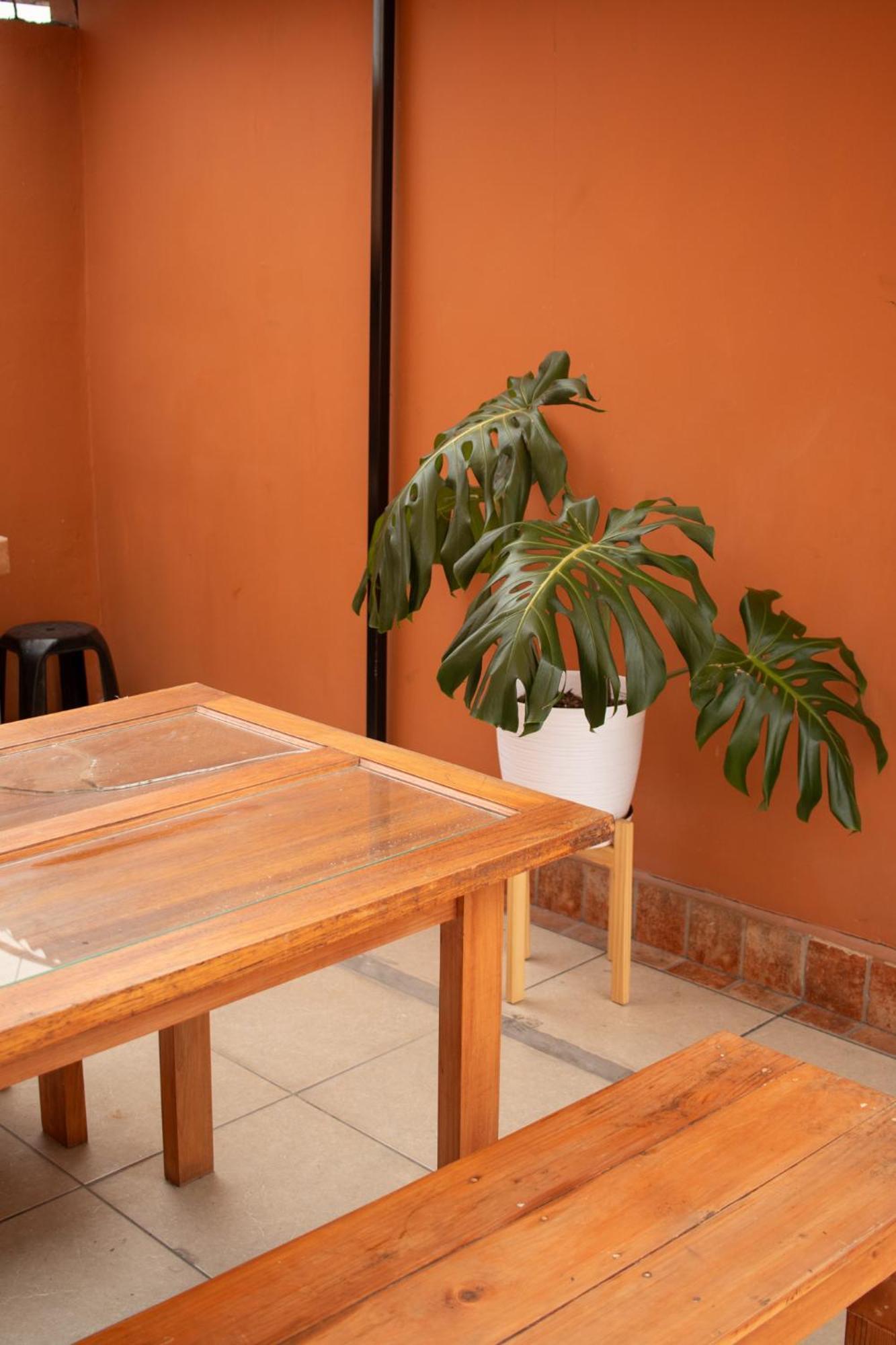 Temazcal Hostel Λίμα Εξωτερικό φωτογραφία